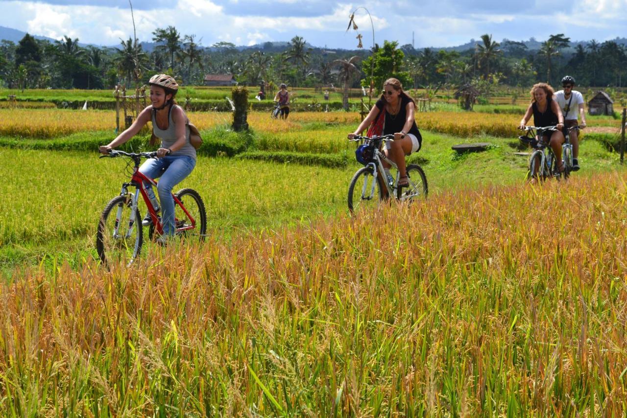 Bali Culture Guesthouse Ubud Exteriör bild